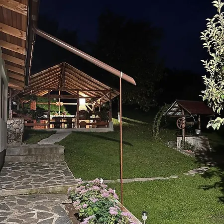 Pensiunea Poiana Luminoasa *
