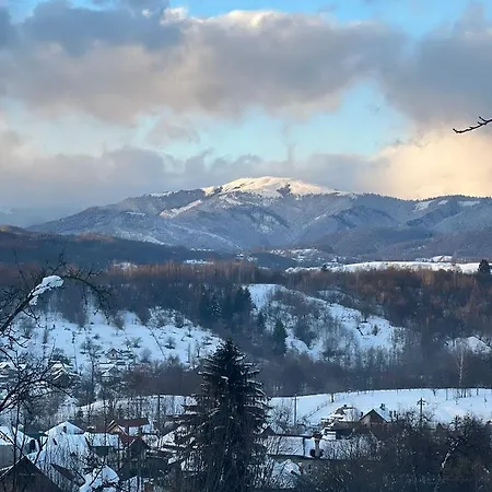 Pensiunea Poiana Luminoasa